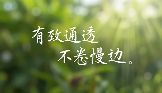 文案创作中的脚本撰写问题与优化建议